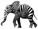 zebrefant